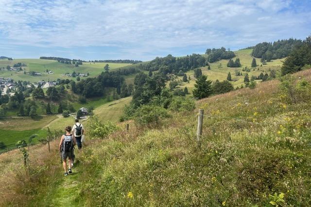 Biosphrengebiet Sdschwarzwald ist Partner der Kooperation Fahrtziel Natur