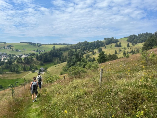 Das Biosphrengebiet Schwarzwald ist d...utschland, sterreich und der Schweiz.  | Foto: Matias Kamp