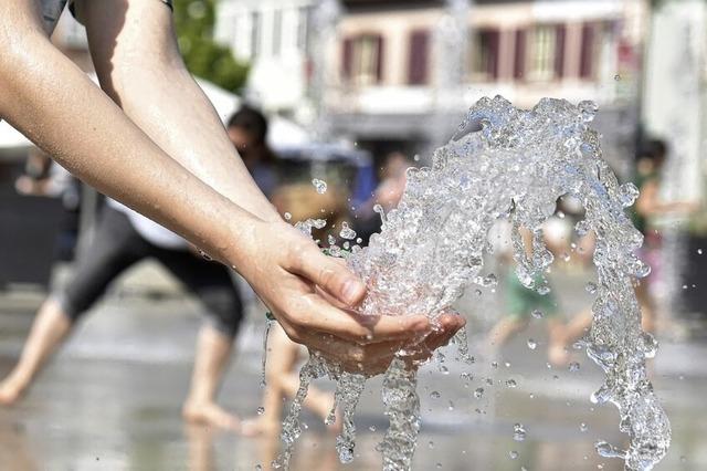 Wasser, Begrnung und Entsiegelung