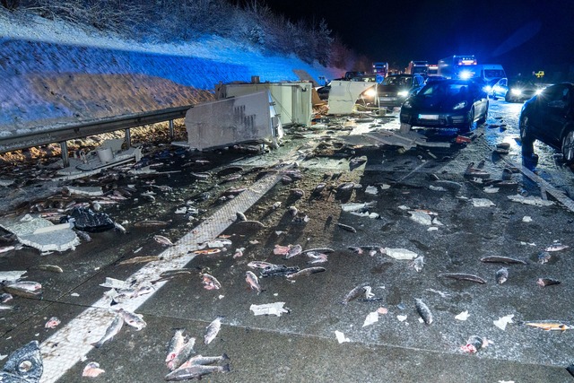 Die Forellen wurden bei dem Unfall &uuml;ber die Fahrbahn verteilt.  | Foto: JOTO/dpa