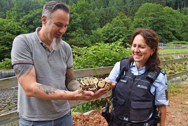 Wrgeschlangen und Wassermelonen beschftigten die Polizei im Wiesental