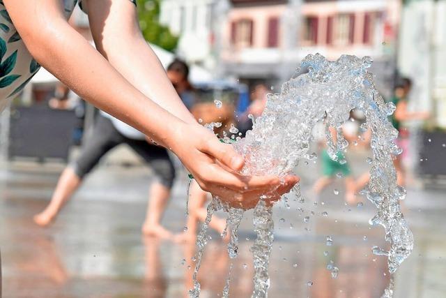 Ettenheimer und Mahlberger wollen Wasser, Begrnung und Entsiegelung