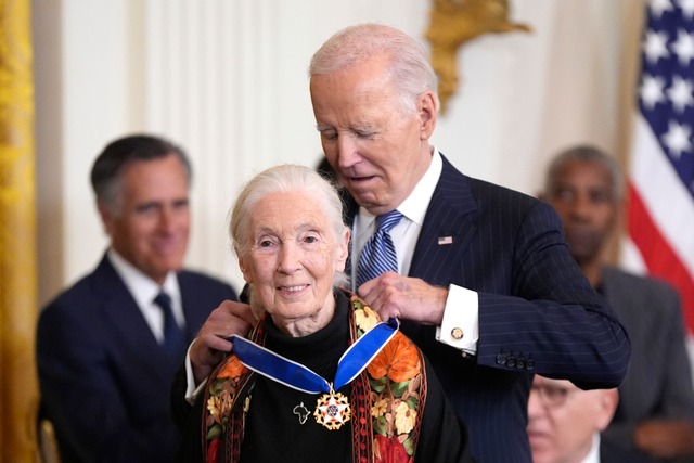 Zu den Prominenten, die geehrt wurden,...erin und Affenforscherin Jane Goodall.  | Foto: Manuel Balce Ceneta/AP/dpa