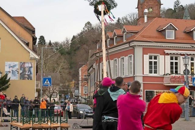 Badenweilers Fastnachtsstart mit einem frisch gestellten Narrenbaum