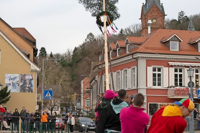 Badenweilers Narrenbaum wird aufgestellt.  | Foto: Volker Mnch