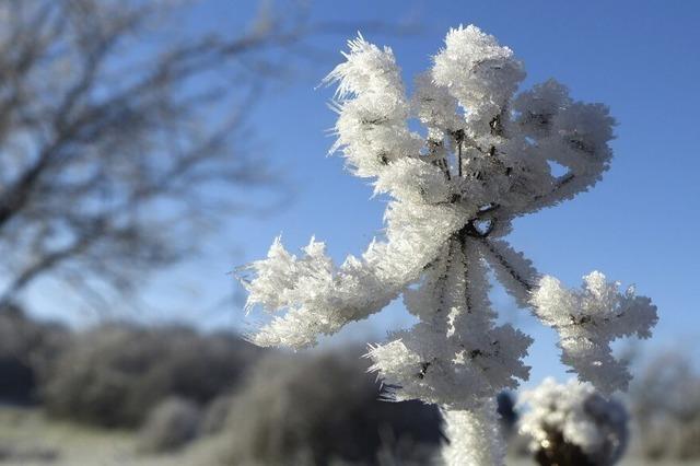 Wechselhafter Winter