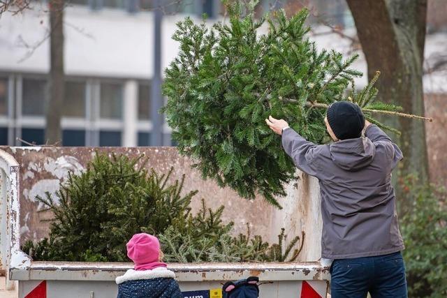 Wo Weihnachtsbume in der Ortenau entsorgt werden knnen