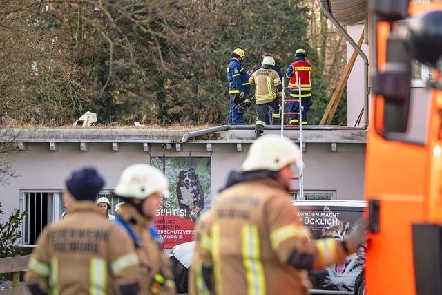 Firma aus Bad Bellingen-Rheinweiler spendet Container nach Brand im Freiburger Tierheim