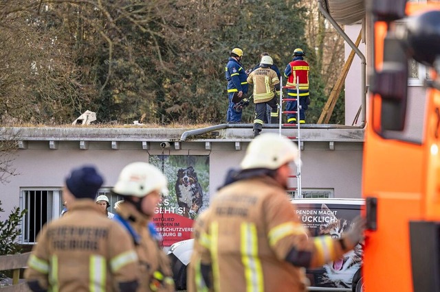 Am Neujahrsmorgen hat es einen Brand im Tierheim in Freiburg-Lehen gegeben.  | Foto: Maximo-Hans Musielik