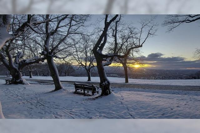 Abendstimmung auf dem Tllinger Berg