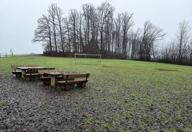 Momentan liegt bei Raitbach am Waldran... es vielleicht ein Familienspielplatz.  | Foto: Edgar Steinfelder