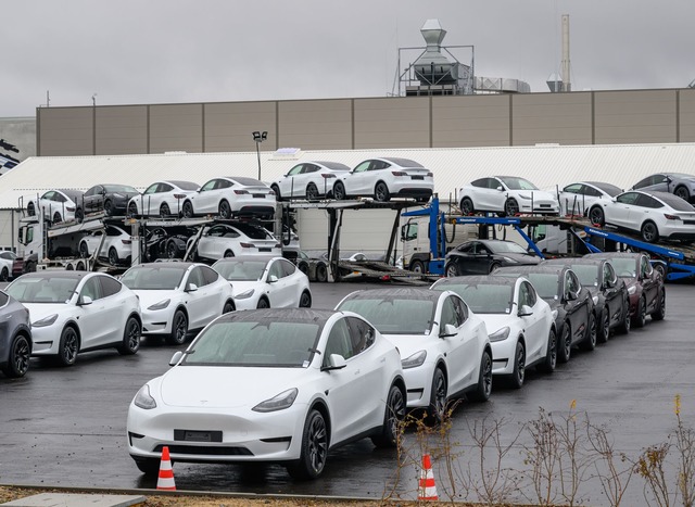 Teslas verkauften sich in Deutschland ...ahr sehr viel schlechter. (Archivbild)  | Foto: Patrick Pleul/dpa