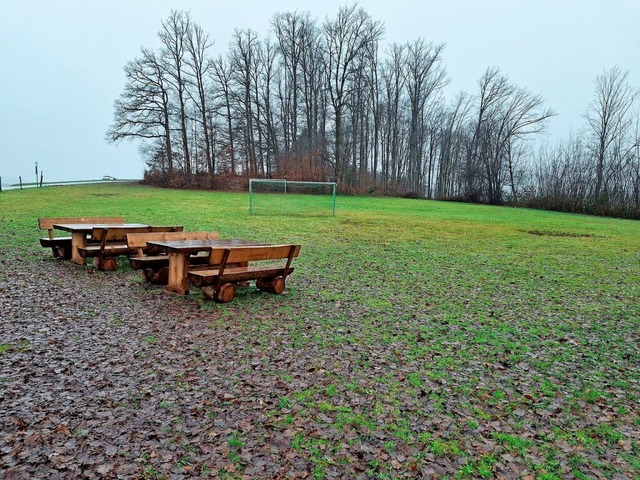 Momentan liegt bei Raitbach am Waldran... es vielleicht ein Familienspielplatz.  | Foto: Edgar Steinfelder