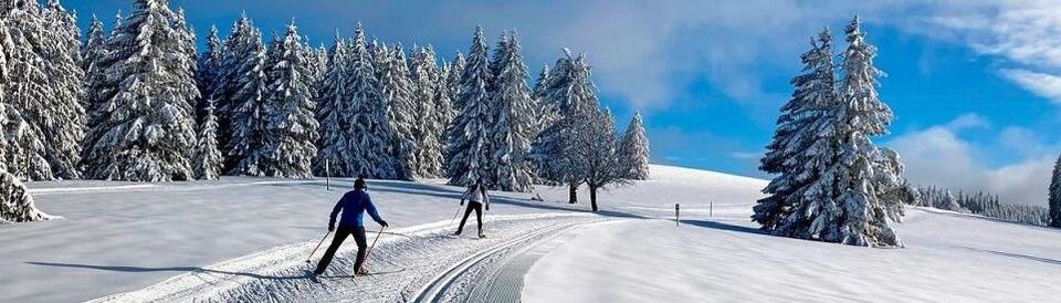 Die schnsten Loipen im Schwarzwald