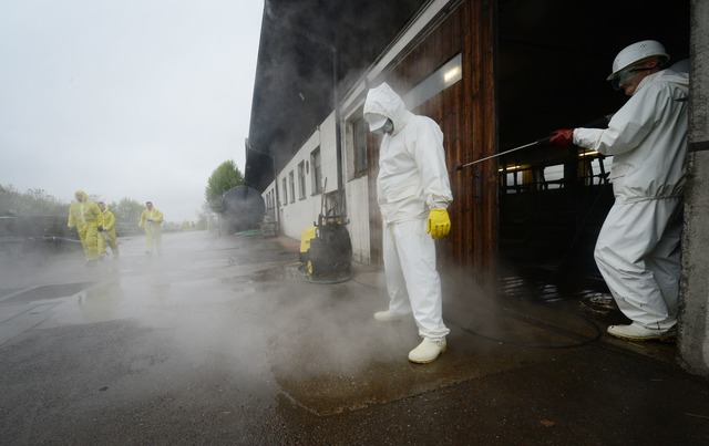 Ist in einem Betrieb auch nur ein Tier... strenge Ma&szlig;nahmen. (Symbolbild)  | Foto: picture alliance / dpa