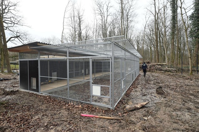 Das Auswilderungsgehege im Tierparkt Oberwald wird derzeit noch fertig gebaut.  | Foto: Uli Deck (dpa) 