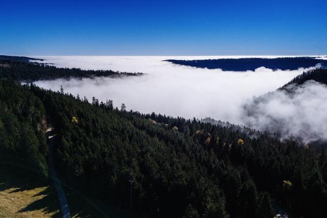 Erweiterung von Nationalpark Schwarzwald: Land macht Zusagen