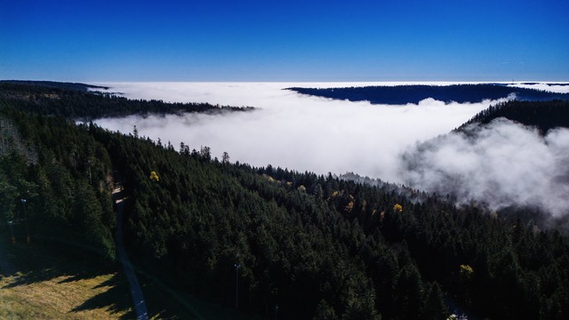 Das Land will bei der Nationalpark-Erw...ner ber&uuml;cksichtigen. (Archivbild)  | Foto: Philipp von Ditfurth/dpa