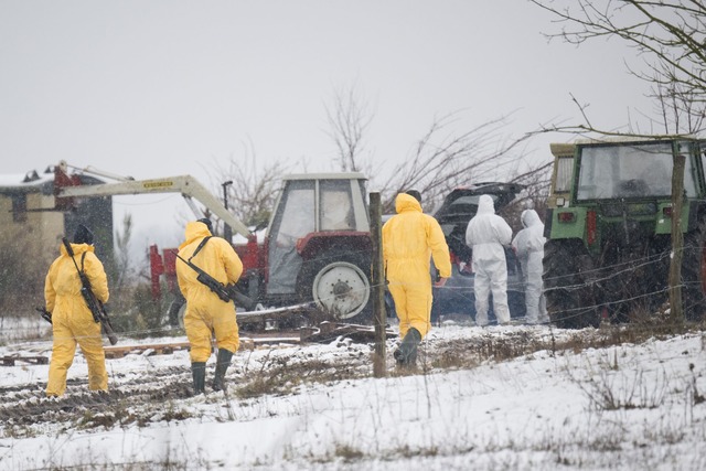 Nach dem Ausbruch der Maul- und Klauen...in Schutzanz&uuml;gen sind im Einsatz.  | Foto: Sebastian Christoph Gollnow/dpa