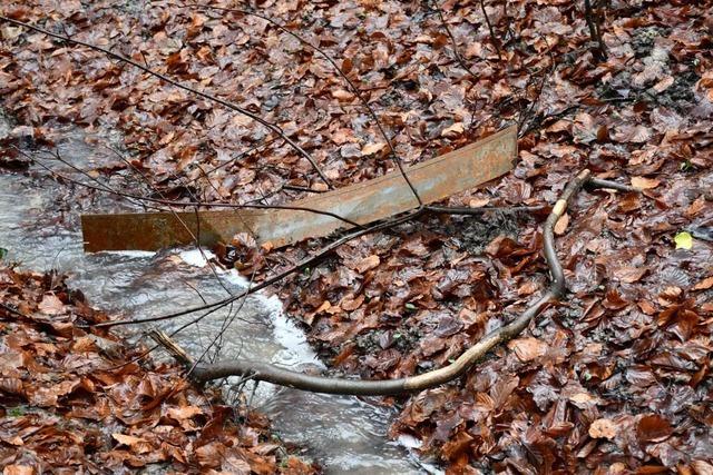 Am Grenzacher Froschteich kommt es immer wieder zu Zerstrungen