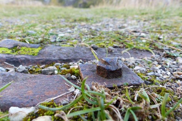 Lost Place – so erobert sich die Natur den vergessenen Steinbruch in Niederrotweil zurck