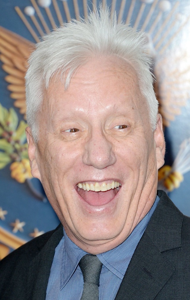 Filmstar James Woods macht auch als Klimaleugner von sich reden. (Archivbild)  | Foto: picture alliance / Justin Lane/EPA/dpa