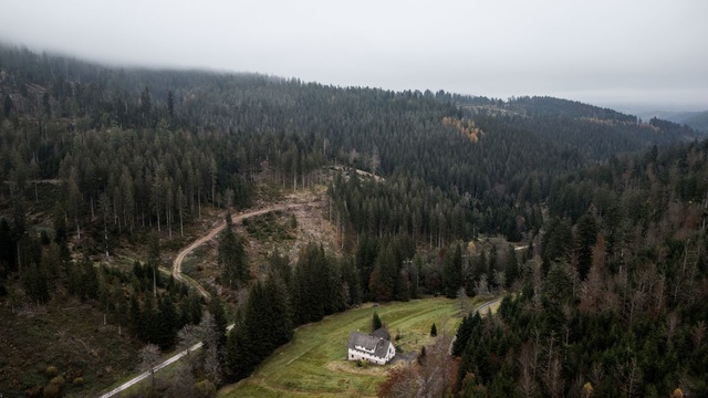 Die geplante Erweiterung des Nationalp...atten im Schwarzwald aus. (Archivbild)  | Foto: Philipp von Ditfurth/dpa