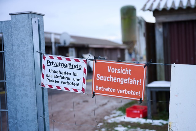 Schutzma&szlig;nahmen sind angelaufen ...m Ausbruch der Maul- und Klauenseuche.  | Foto: Annette Riedl/dpa