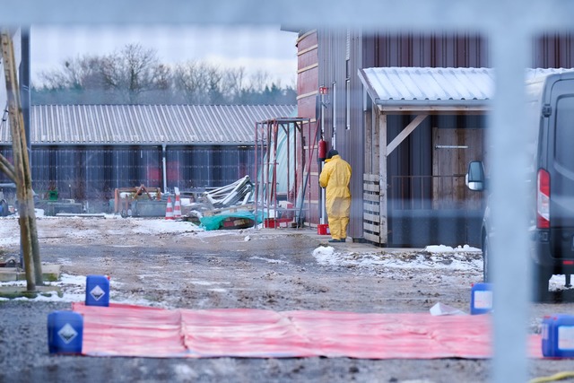 Nach dem Ausbruch der Maul- und Klauen...er Sperrzone vorsorglich get&ouml;tet.  | Foto: Annette Riedl/dpa