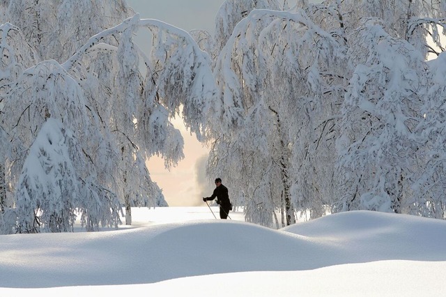 Der Klimawandel wird fr den Schwarzwa...r, wenn schneefreie Regionen zunehmen.  | Foto: Walter Finkbeiner