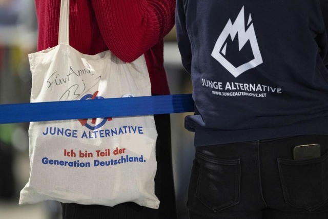 Die AfD will ihre Nachwuchsorganisation Junge Alternative ersetzen.  | Foto: Sebastian Kahnert (dpa)