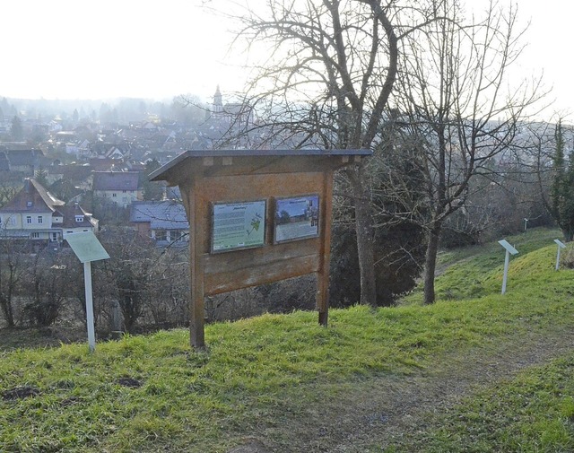 Blick vom Startpunkt des Naturlehrpfad...ehemaligen Krankenhaus auf Ettenheim.   | Foto: Benedikt Hecht