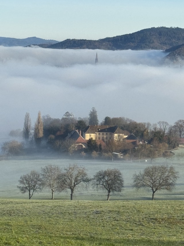 Blick auf das Freiburger Mnster und d...hausen bei einem Schnbergspaziergang.  | Foto: Franziska Gassner