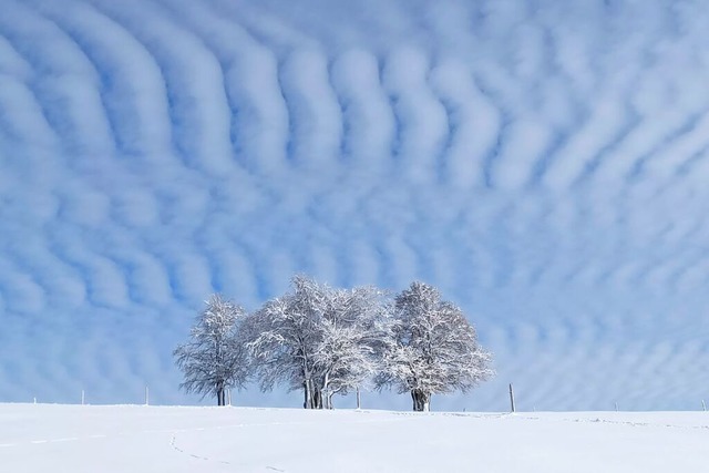 Winterlandschaft auf dem Schauinsland.  | Foto: Annette Leuschner