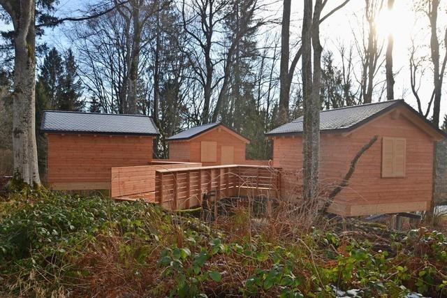 Wildniscamp bei Husern im Schwarzwald steht kurz vor der Erffnung