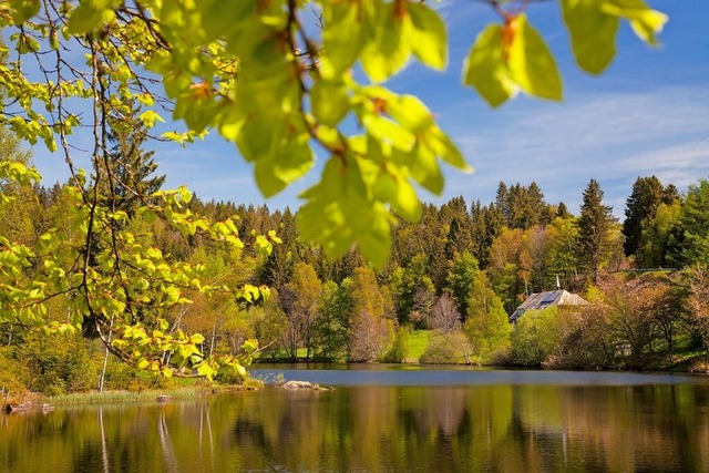 Unser Symbolbild zeigt den Klosterweiher bei Dachsberg.  | Foto: Clemens Emmler