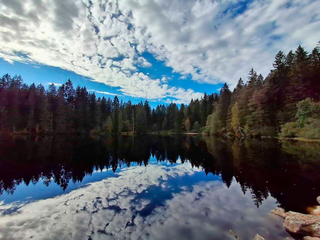 Mathisleweiher in Hinterzarten