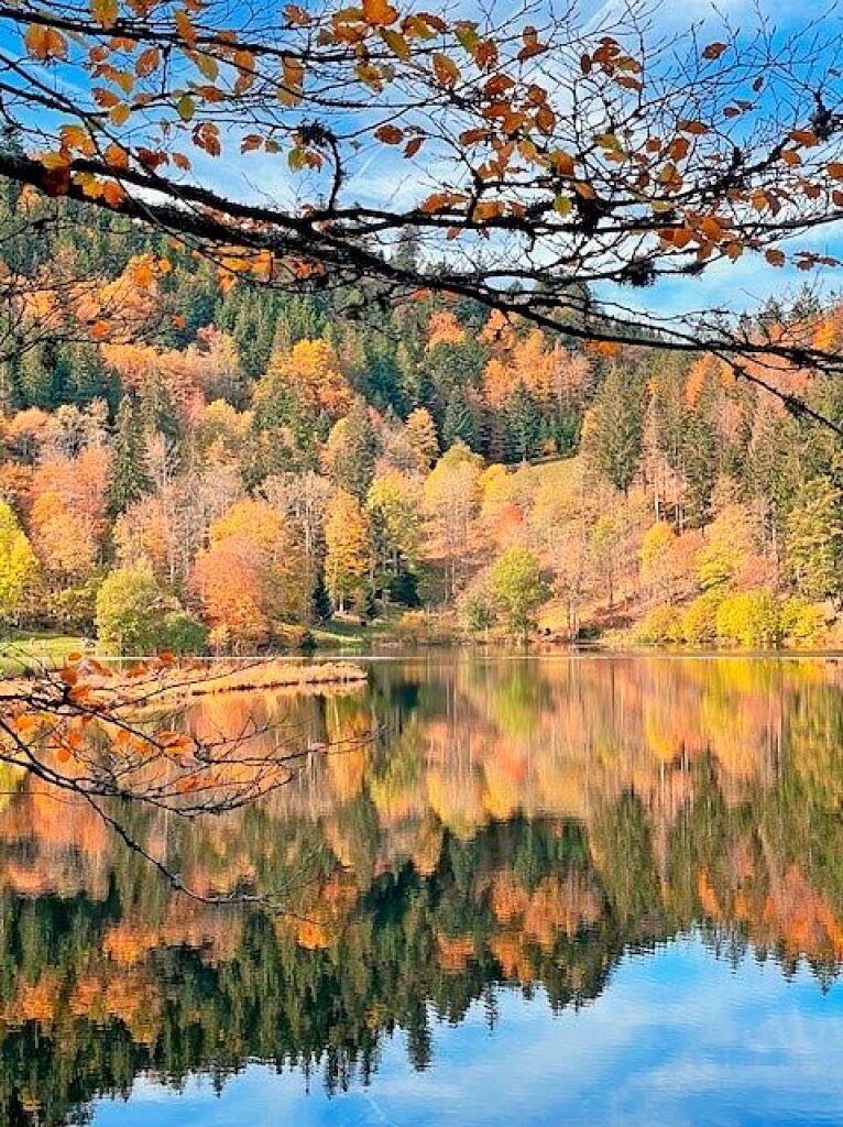 Nonnenmattweiher im Kleinen Wiesental bei Neuenweg