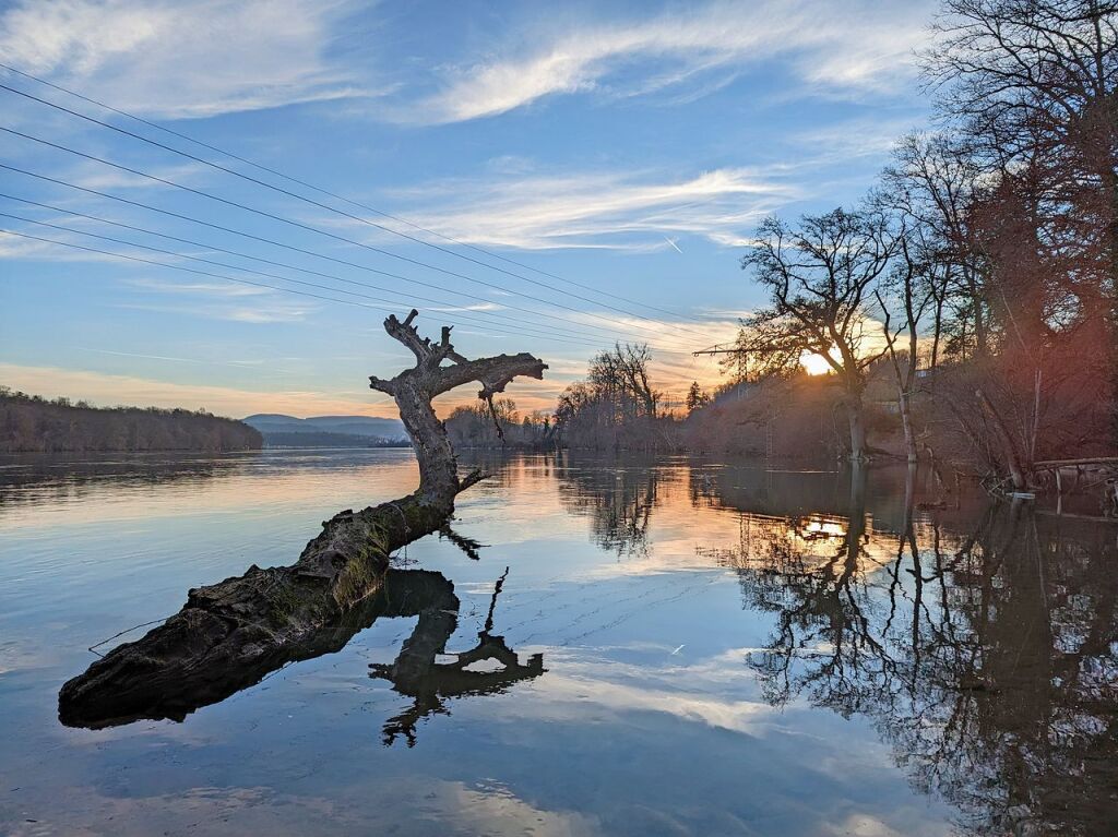 Am Rhein zwischen Beuggen und Riedmatte