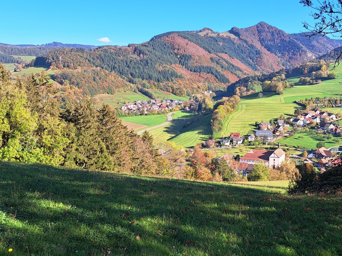 Bank oberhalb von Oberried mit Blick aufs Unterdorf