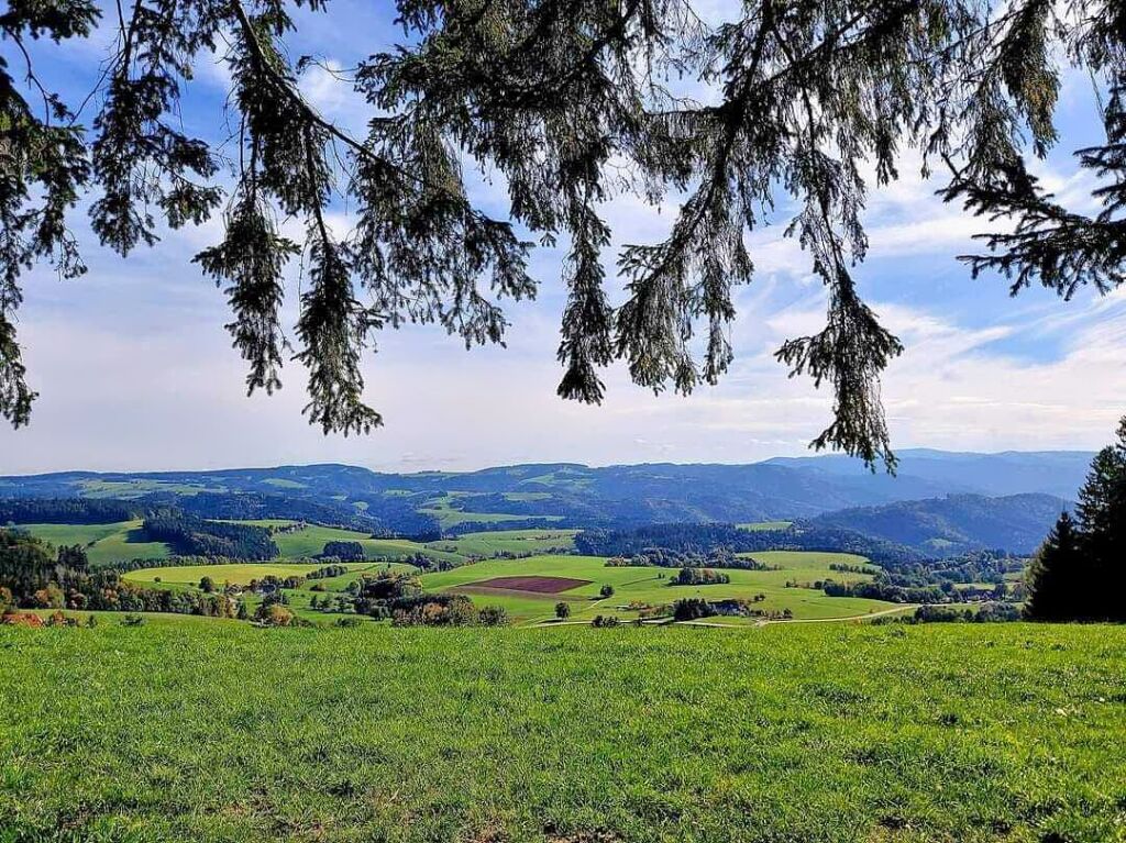 Blick von St. Mrgen auf den Hochschwarzwald