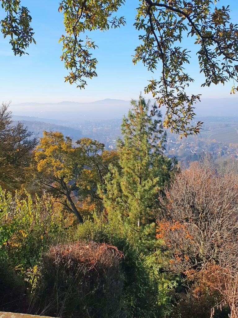 Vogesenblick von der Ruine Baden in Badenweiler