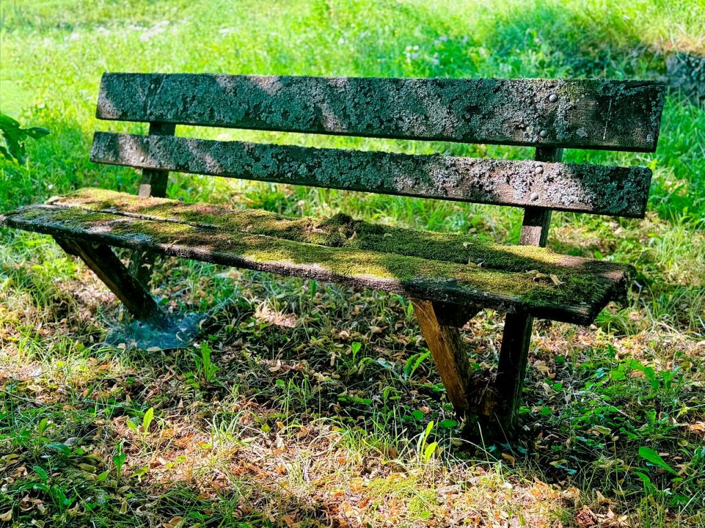 Bank auf dem Tllinger Berg. Gernot Mayer, der das Foto eingesandt hat, schreibt dazu: „Auf dieser Bank unter dem  Buchenbaum haben wir uns zum ersten mal geksst, das war 1968. Unsere Liebe besteht bis heute noch.“