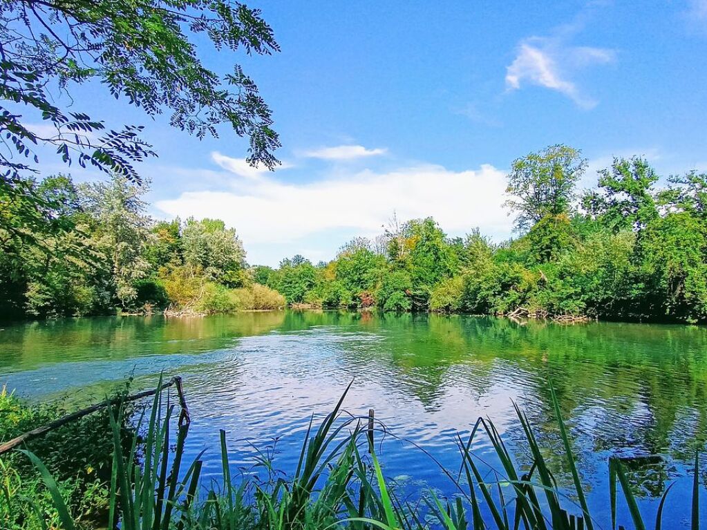 Wasserlauf im Taubergieen