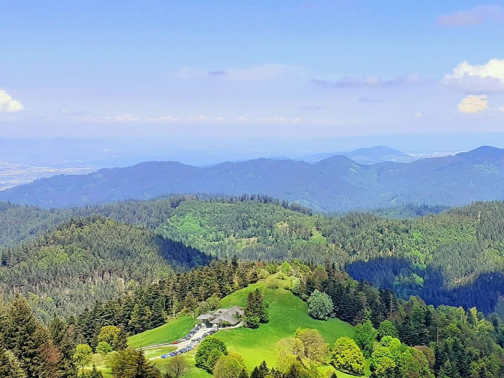 Wanderweg oberhalb der Klbelescheuer/Mnstertal mit Ausblick auf die Rheinebene