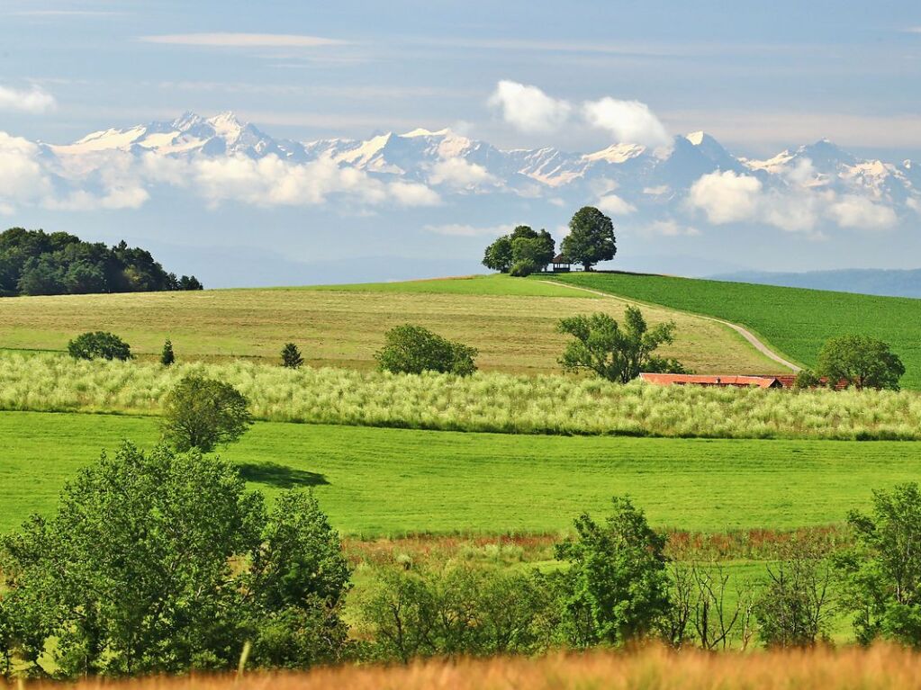 Der Gupfen bei Bannholz, Weilheim