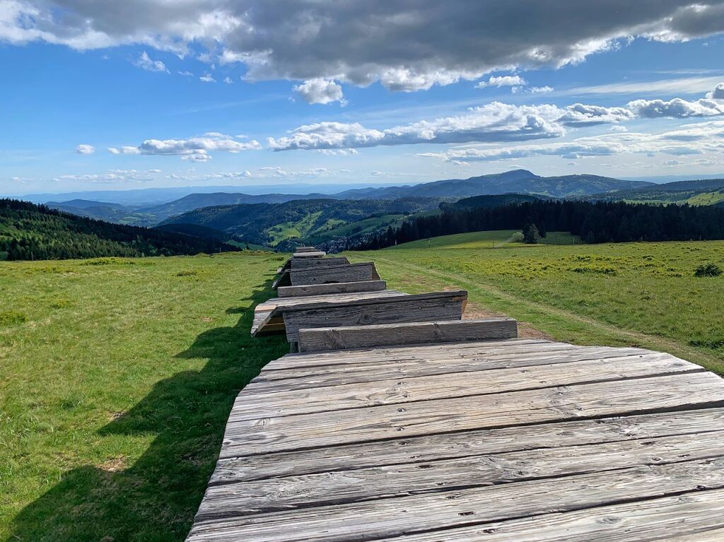 Die lngste Bankliege der Welt oberhalb von Todtnauberg