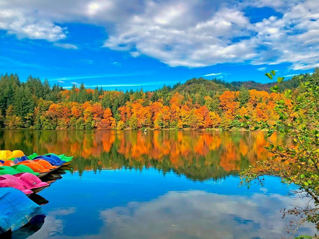 Bergsee, Bad Sckingen