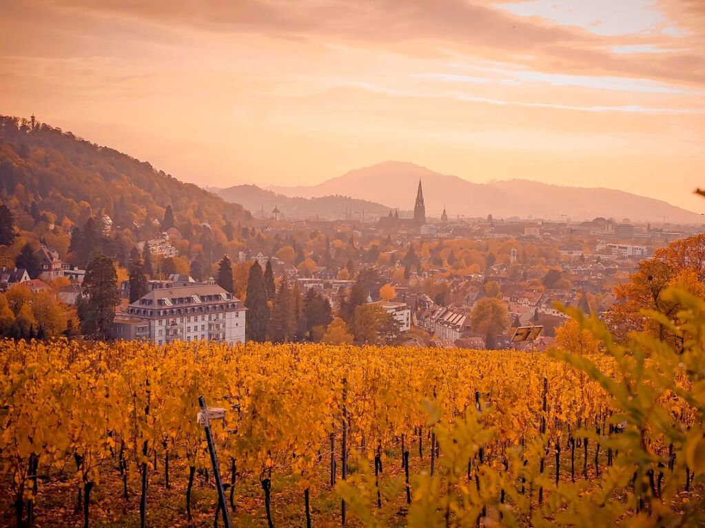 Aussicht von der Eichhalde auf Freiburg