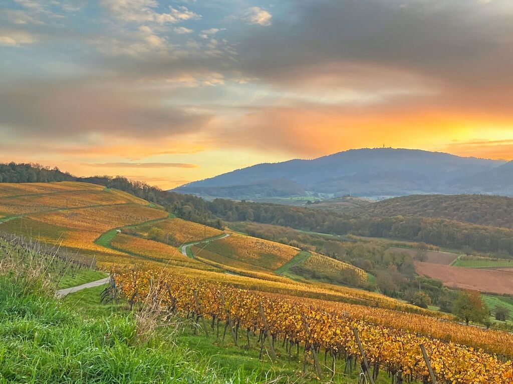 Aussicht von der Schliengener Eckt Richtung Blauen